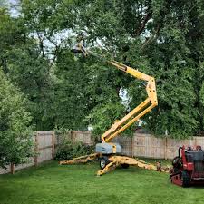 Best Lawn Grading and Leveling  in Monsey, NY