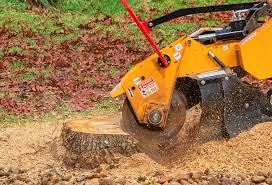 Best Hedge Trimming  in Monsey, NY