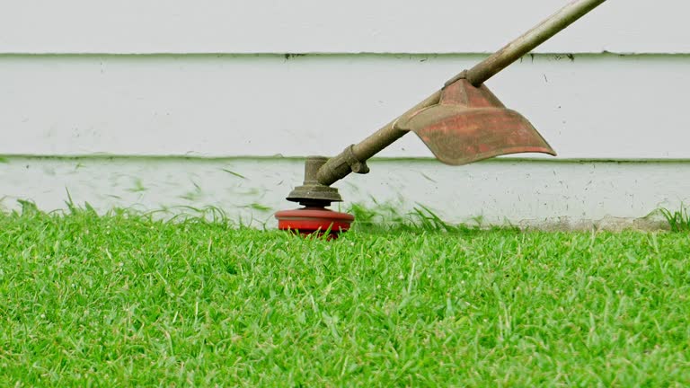 Best Tree and Shrub Care  in Monsey, NY